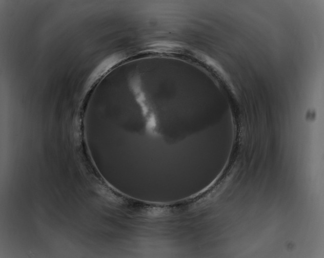 X0000102491362200808081319