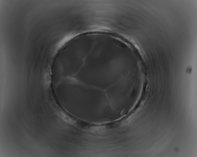 X0000102491363200808081319