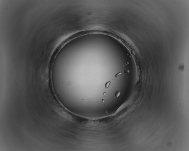 X0000102491364200808081319