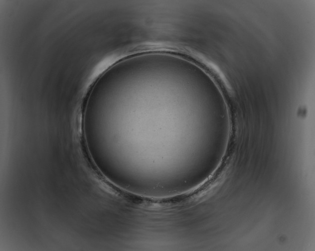 X0000102491365200808081319