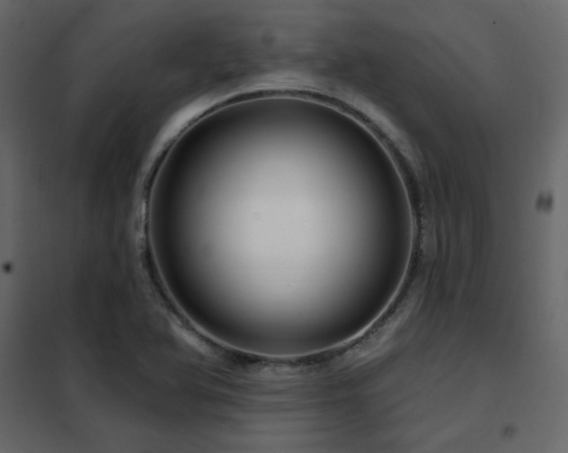 X0000102491366200808081319