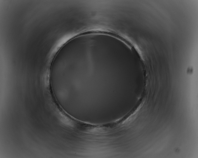 X0000102491367200808081319