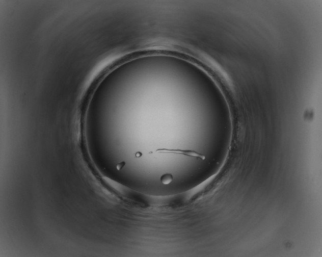 X0000102491368200808081319