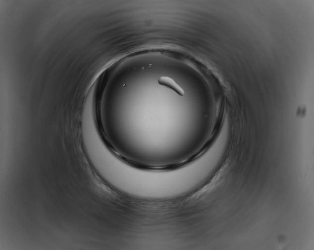 X0000102491369200808081319