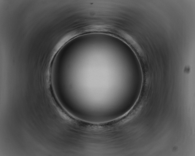 X0000102491370200808081319
