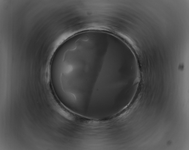X0000102491371200808081319