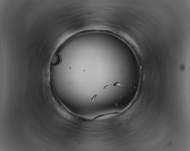 X0000102491372200808081319
