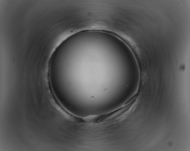 X0000102491374200808081319