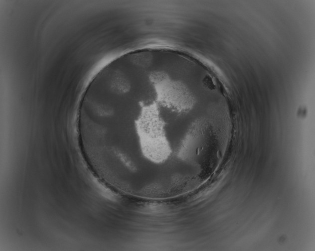 X0000102491375200808081319