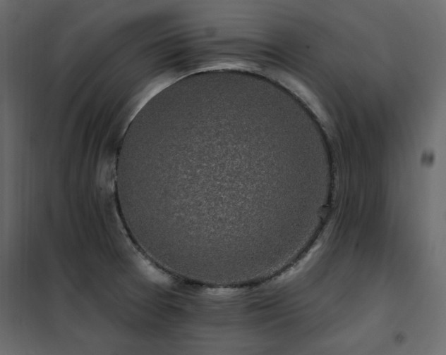 X0000102491377200808081319
