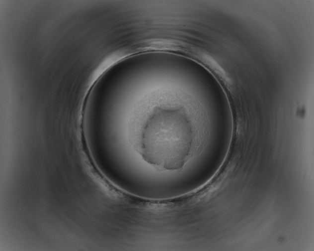 X0000102491378200808081319
