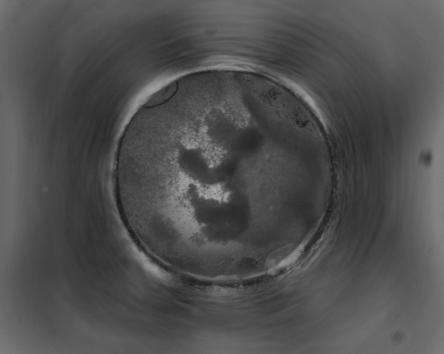 X0000102491379200808081318