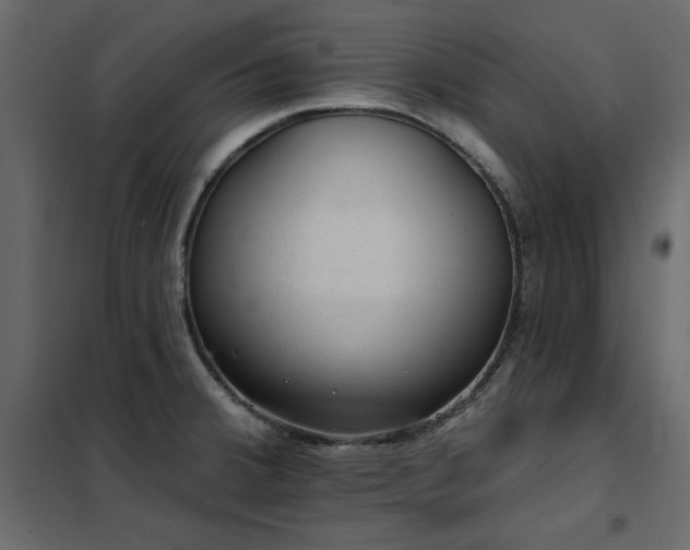 X0000102491380200808081318