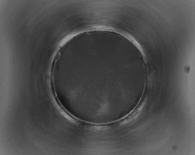 X0000102491381200808081318
