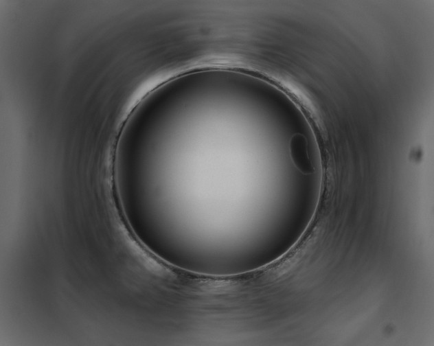 X0000102491382200808081318