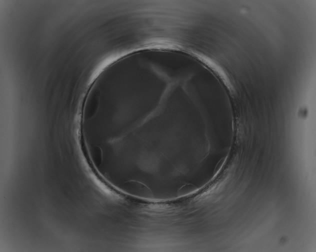 X0000102491383200808081318