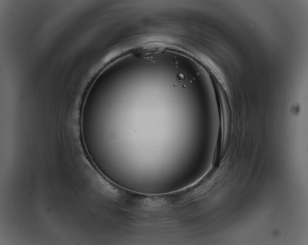 X0000102491384200808081318