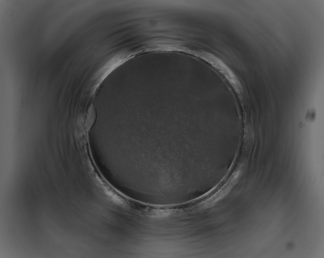 X0000102491385200808081318