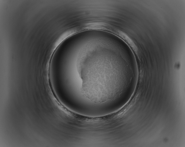 X0000102491386200808081318