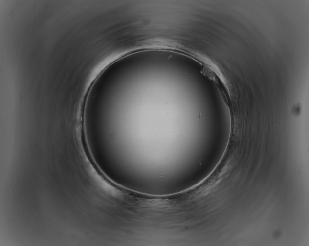 X0000102491387200808081318