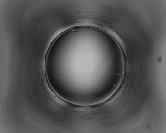 X0000102491388200808081318