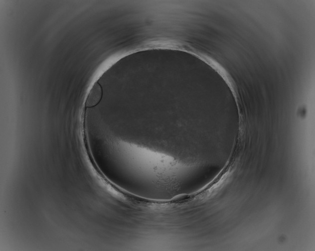 X0000102491389200808081318