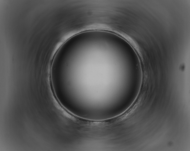X0000102491390200808081318