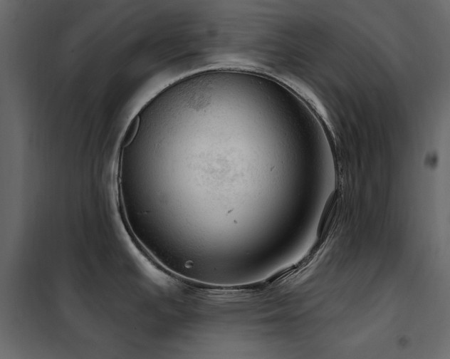 X0000102491391200808081318