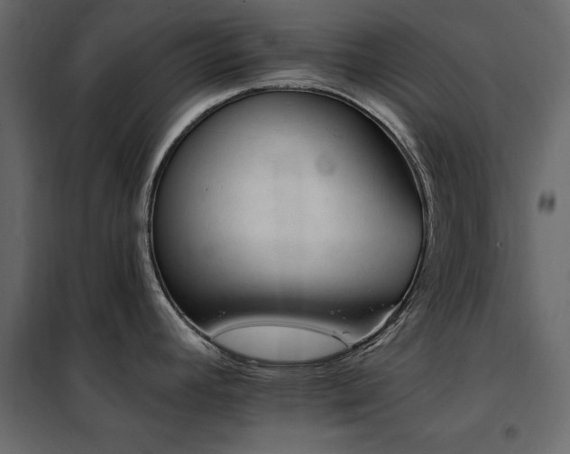 X0000102491392200808081318