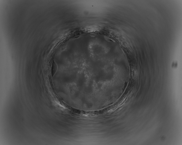 X0000102491393200808081318
