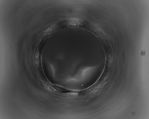 X0000102491394200808081318