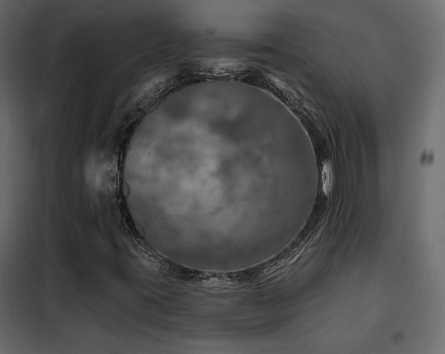 X0000102491395200808081318
