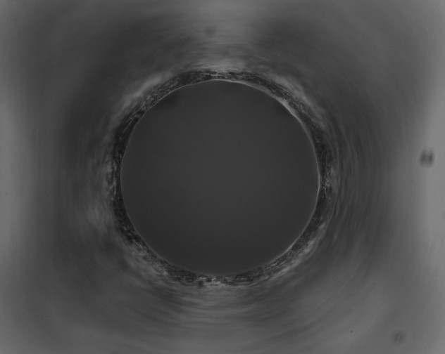 X0000102491398200808081318