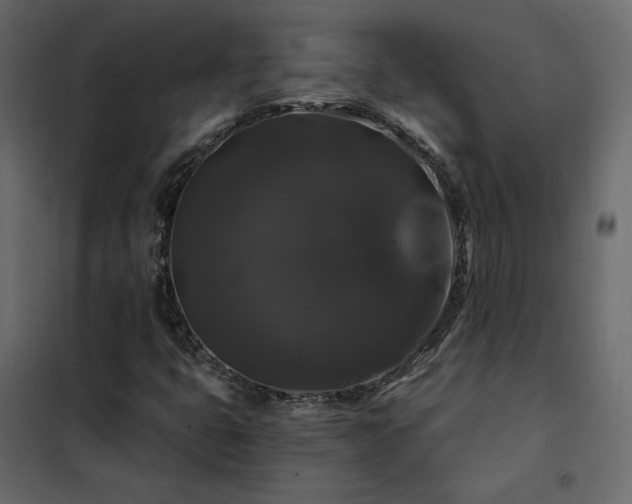 X0000102491399200808081318