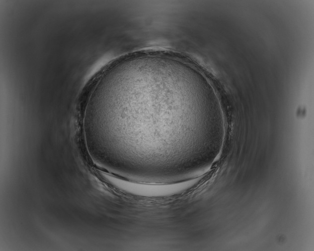 X0000102491400200808081318