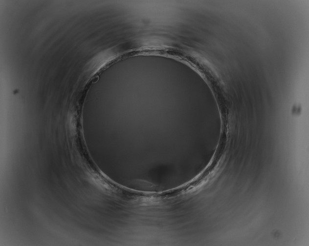 X0000102491401200808081318