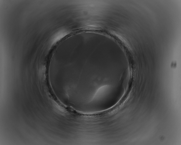 X0000102491402200808081318