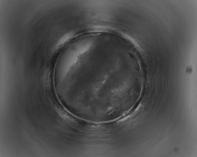 X0000102491403200808081318