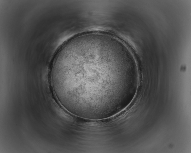 X0000102491404200808081318