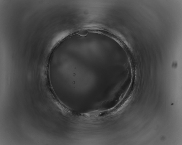 X0000102491405200808081318