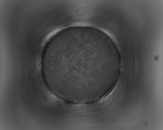 X0000102491406200808081318
