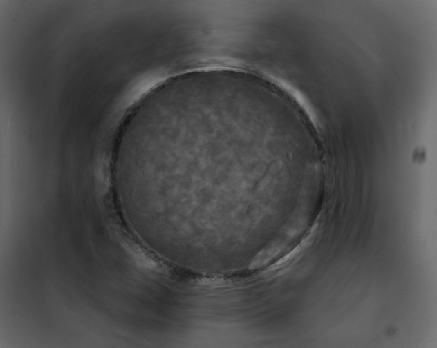 X0000102491407200808081318