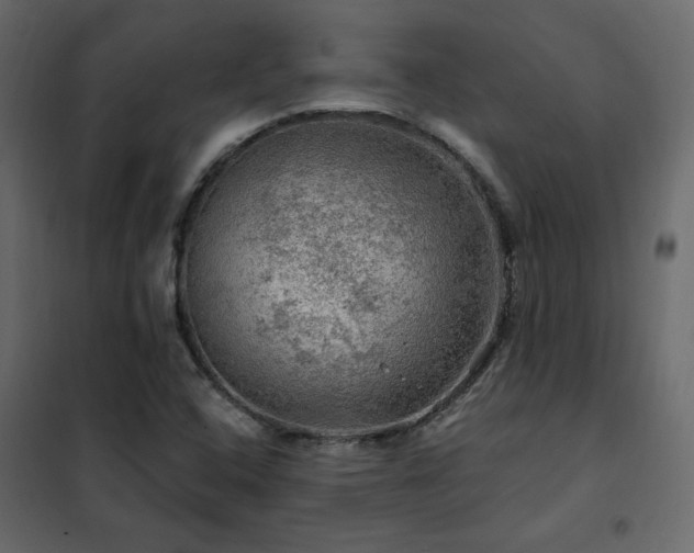 X0000102491408200808081318