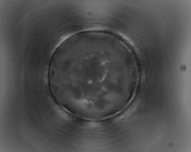 X0000102491409200808081318