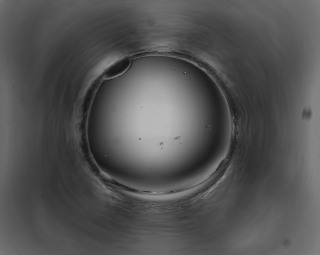 X0000102491410200808081318