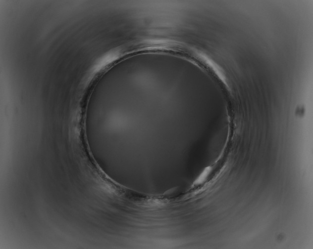 X0000102491411200808081318