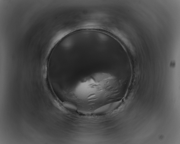 X0000102491413200808081318