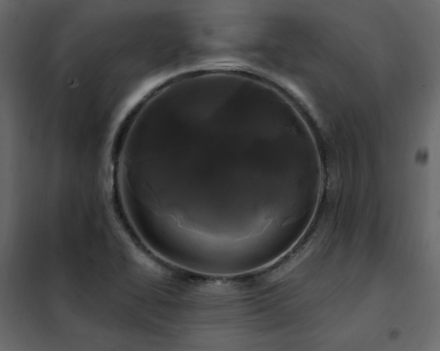 X0000102491414200808081318