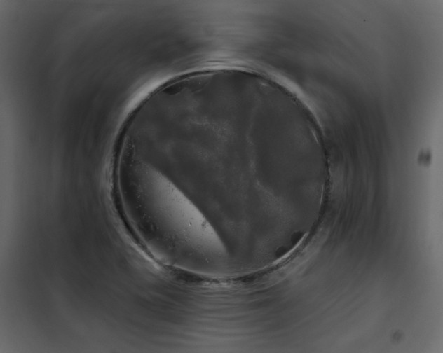 X0000102491415200808081318