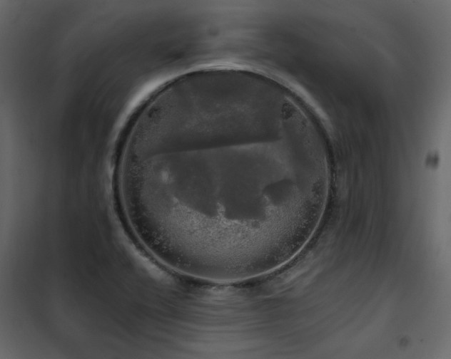 X0000102491416200808081318